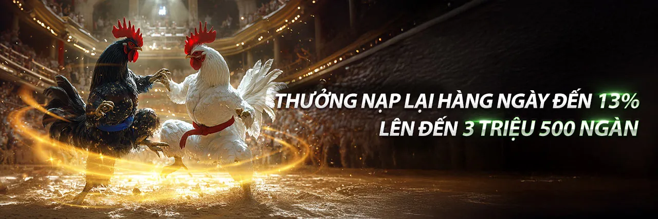 Đá gà trực tuyến mayclub nổ hũ